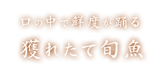 口の中で鮮度が踊る